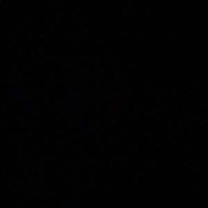 Meet your Posher, Annaleeza